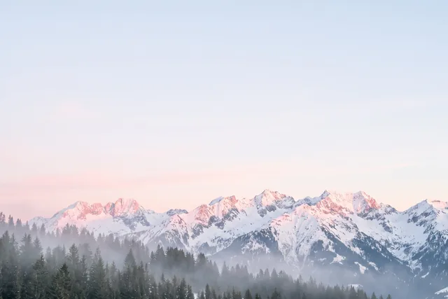 Photo-style snowy mountain range with pink alpenglow at dawn, misty pine forest below and a pale lavender sky.
